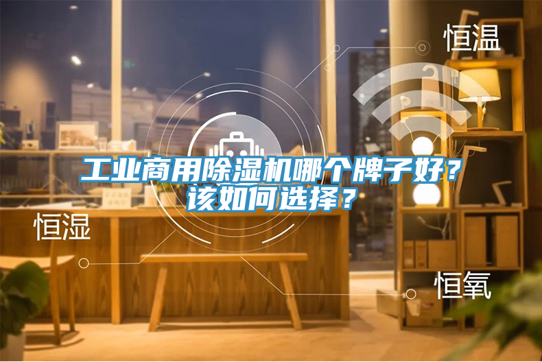 工業(yè)商用除濕機哪個牌子好？該如何選擇？