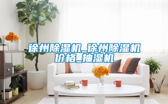 徐州除濕機_徐州除濕機價格_抽濕機