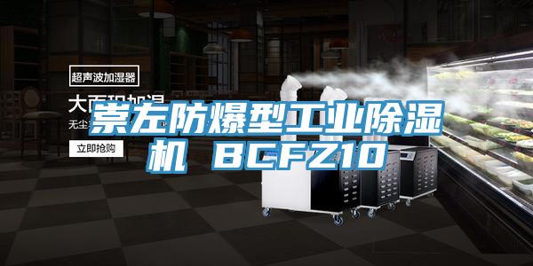 崇左防爆型工業(yè)除濕機 BCFZ10