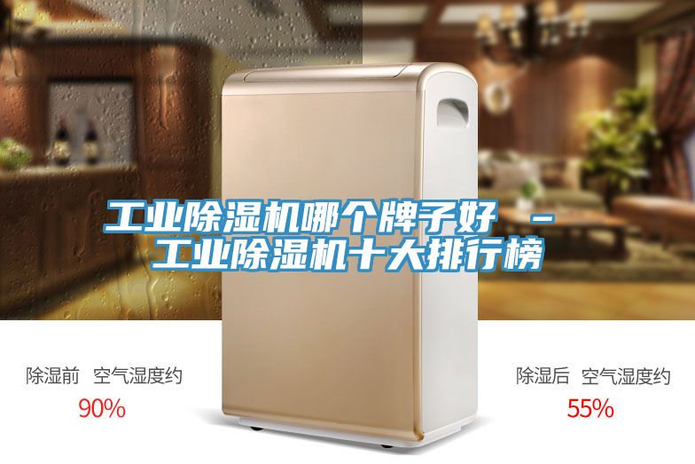 工業(yè)除濕機(jī)哪個(gè)牌子好 – 工業(yè)除濕機(jī)十大排行榜
