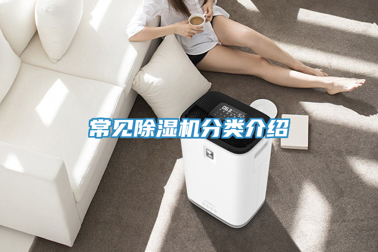 常見除濕機(jī)分類介紹