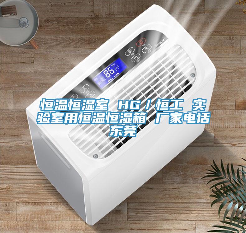 恒溫恒濕室 HG／恒工 實(shí)驗(yàn)室用恒溫恒濕箱 廠(chǎng)家電話(huà)東莞