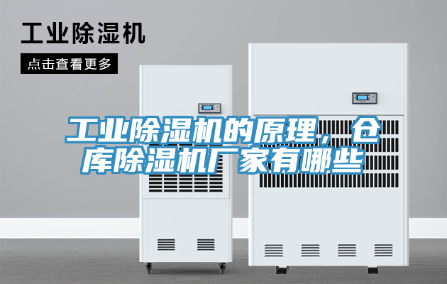 工業(yè)除濕機(jī)的原理，倉(cāng)庫(kù)除濕機(jī)廠家有哪些