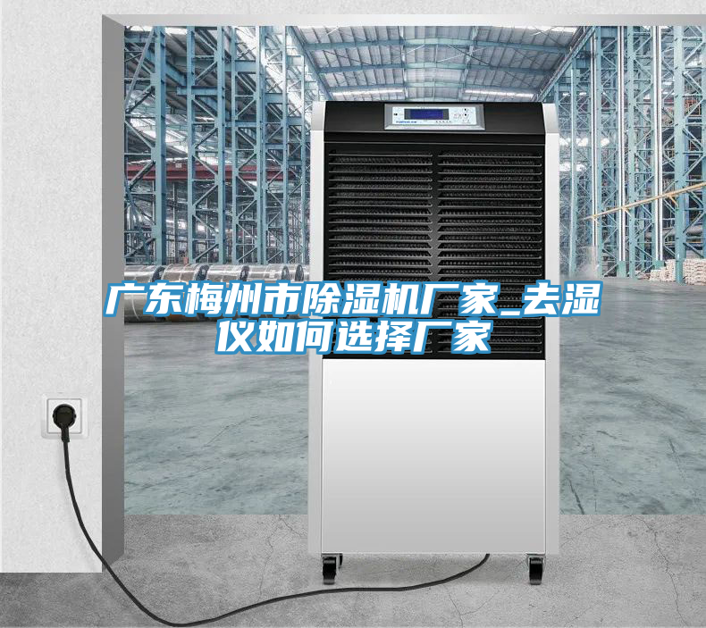 廣東梅州市除濕機(jī)廠家_去濕儀如何選擇廠家