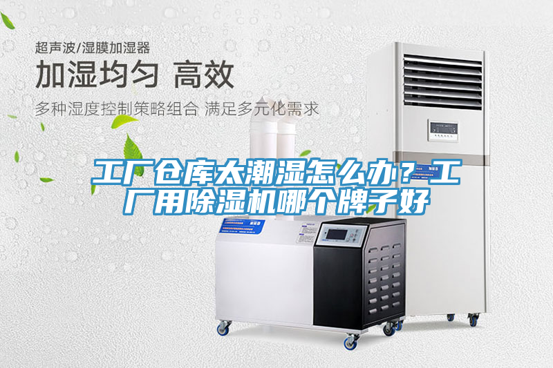 工廠倉(cāng)庫(kù)太潮濕怎么辦？工廠用除濕機(jī)哪個(gè)牌子好