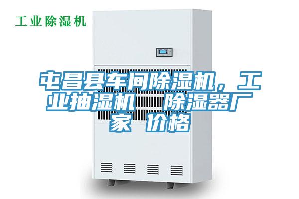 屯昌縣車間除濕機(jī)，工業(yè)抽濕機(jī)  除濕器廠家 價(jià)格