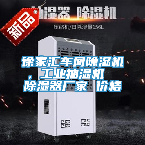 徐家匯車間除濕機，工業(yè)抽濕機  除濕器廠家 價格