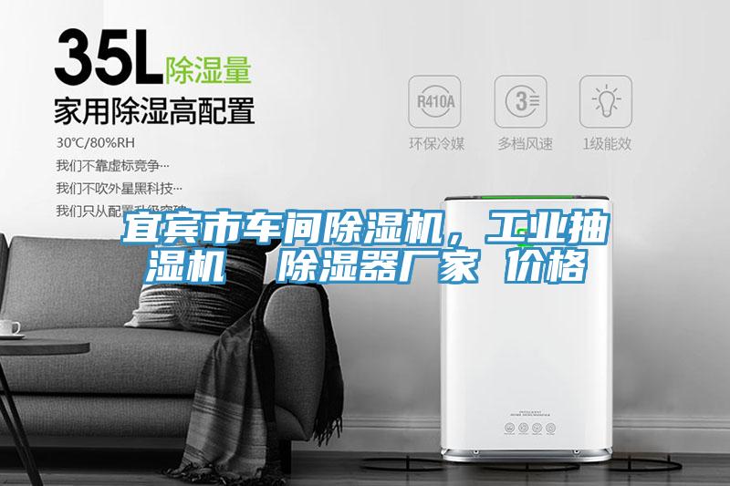 宜賓市車間除濕機，工業(yè)抽濕機  除濕器廠家 價格