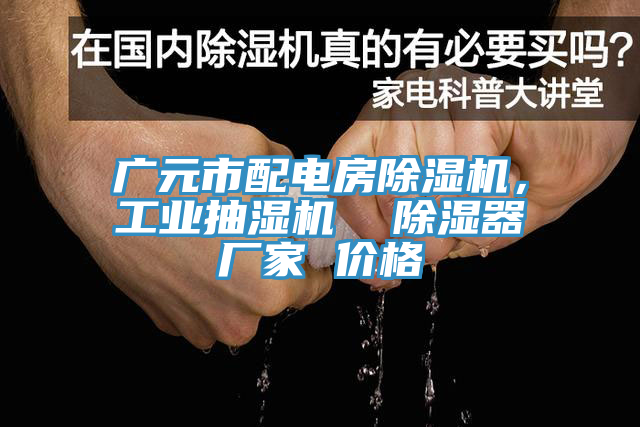 廣元市配電房除濕機(jī)，工業(yè)抽濕機(jī)  除濕器廠家 價(jià)格
