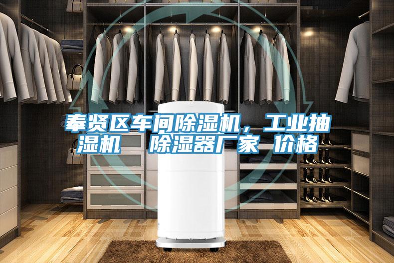 奉賢區(qū)車(chē)間除濕機(jī)，工業(yè)抽濕機(jī)  除濕器廠家 價(jià)格