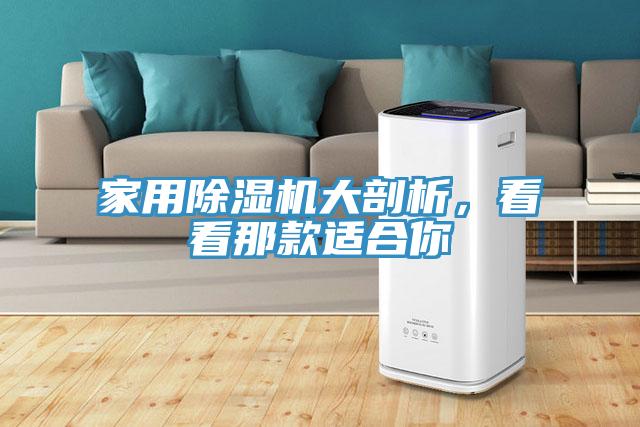 家用除濕機(jī)大剖析，看看那款適合你