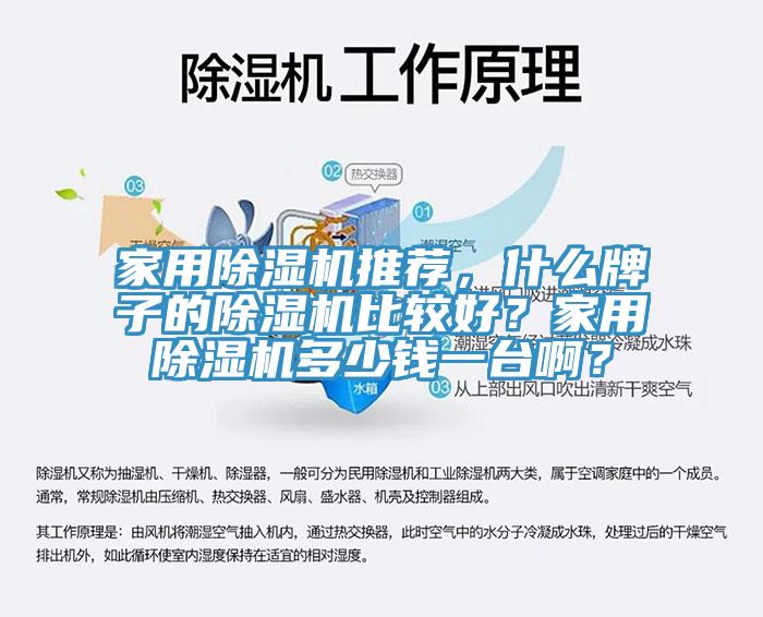 家用除濕機推薦，什么牌子的除濕機比較好？家用除濕機多少錢一臺?。?></div>
								<div   id=