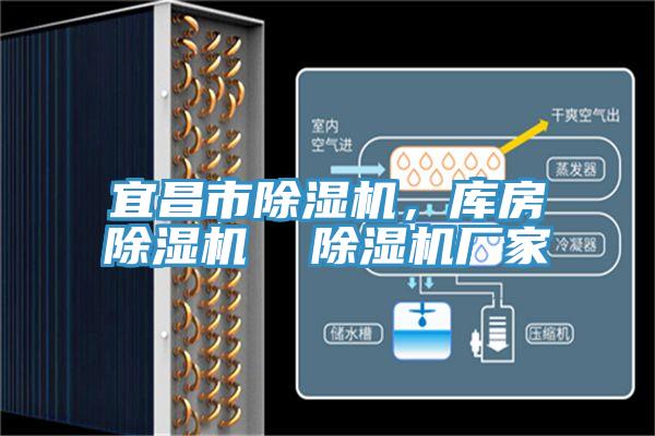 宜昌市除濕機，庫房除濕機  除濕機廠家