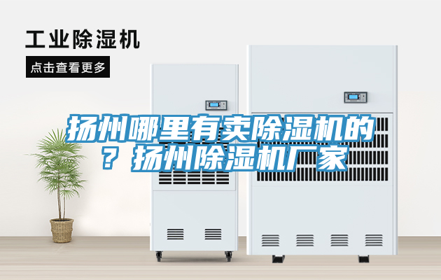 揚(yáng)州哪里有賣除濕機(jī)的？揚(yáng)州除濕機(jī)廠家