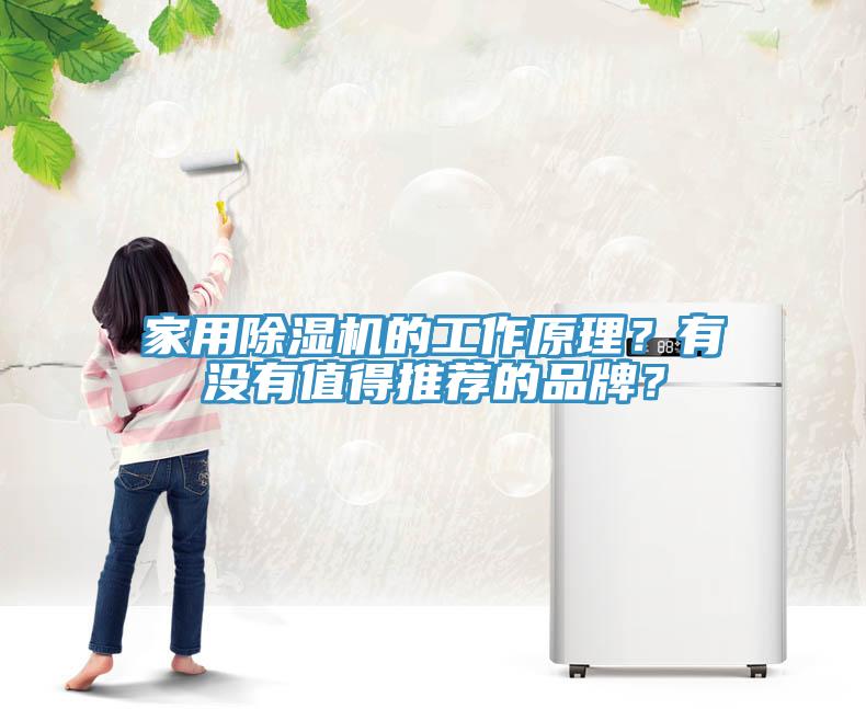 家用除濕機(jī)的工作原理？有沒有值得推薦的品牌？