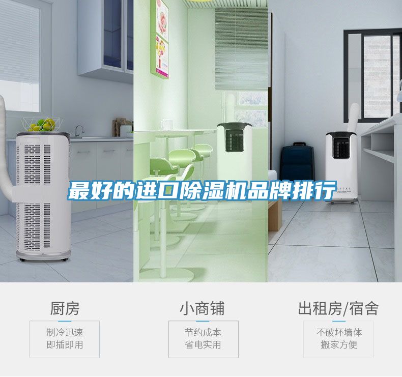 最好的進口除濕機品牌排行
