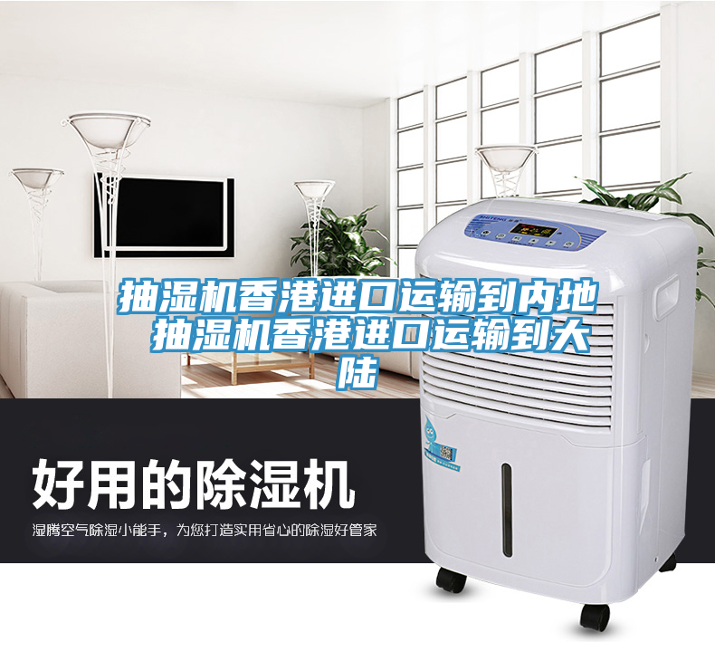 抽濕機(jī)香港進(jìn)口運(yùn)輸?shù)絻?nèi)地 抽濕機(jī)香港進(jìn)口運(yùn)輸?shù)酱箨?></div>
								<div   id=