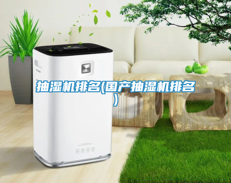 抽濕機(jī)排名(國產(chǎn)抽濕機(jī)排名)
