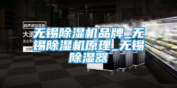 無錫除濕機(jī)品牌_無錫除濕機(jī)原理_無錫除濕器