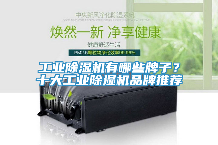 工業(yè)除濕機(jī)有哪些牌子？十大工業(yè)除濕機(jī)品牌推薦