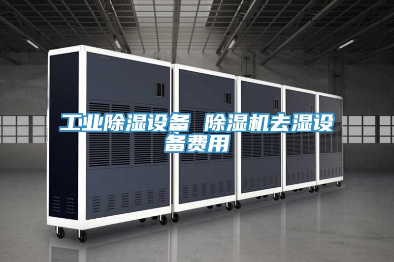 工業(yè)除濕設備 除濕機去濕設備費用