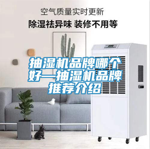 抽濕機(jī)品牌哪個好—抽濕機(jī)品牌推薦介紹