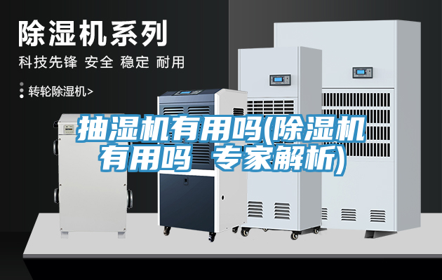 抽濕機有用嗎(除濕機有用嗎 專家解析)