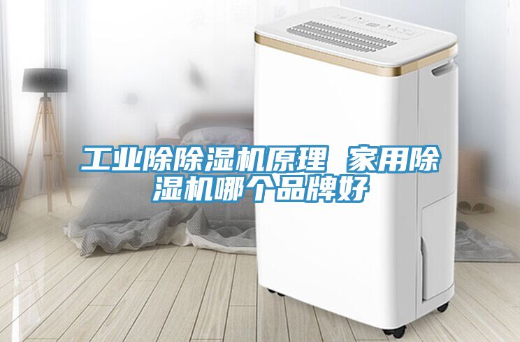 工業(yè)除除濕機原理 家用除濕機哪個品牌好