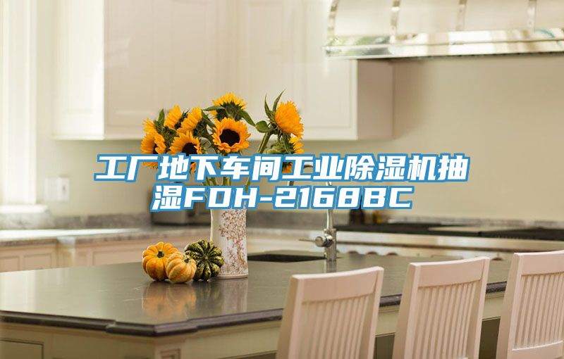 工廠地下車間工業(yè)除濕機抽濕FDH-2168BC