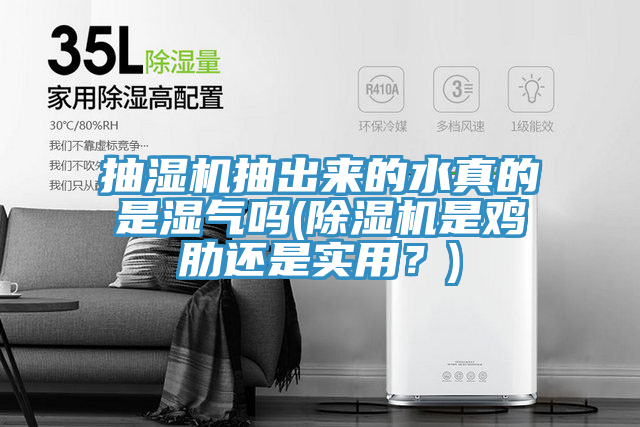 抽濕機(jī)抽出來的水真的是濕氣嗎(除濕機(jī)是雞肋還是實用？)
