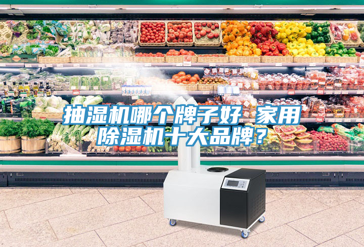 抽濕機(jī)哪個(gè)牌子好 家用除濕機(jī)十大品牌？