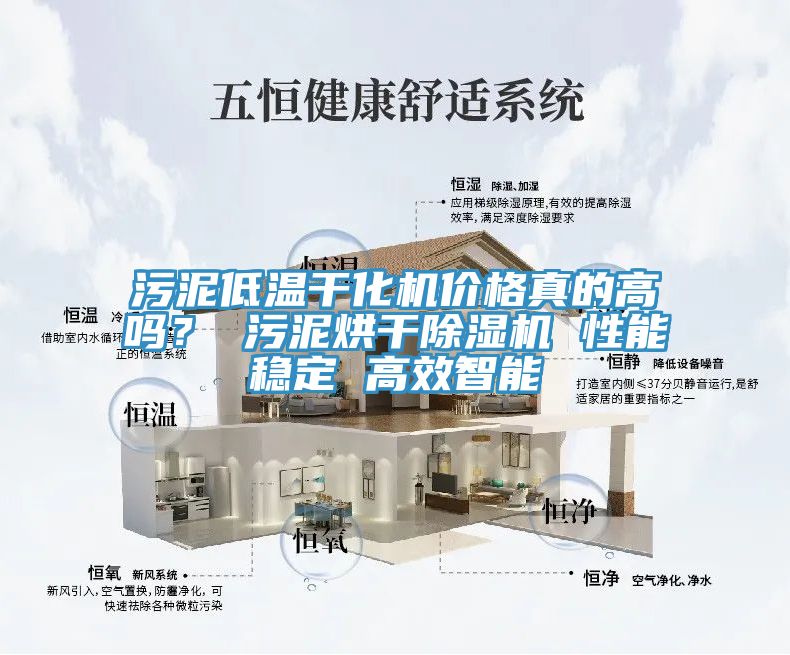 污泥低溫干化機價格真的高嗎？ 污泥烘干除濕機 性能穩(wěn)定 高效智能