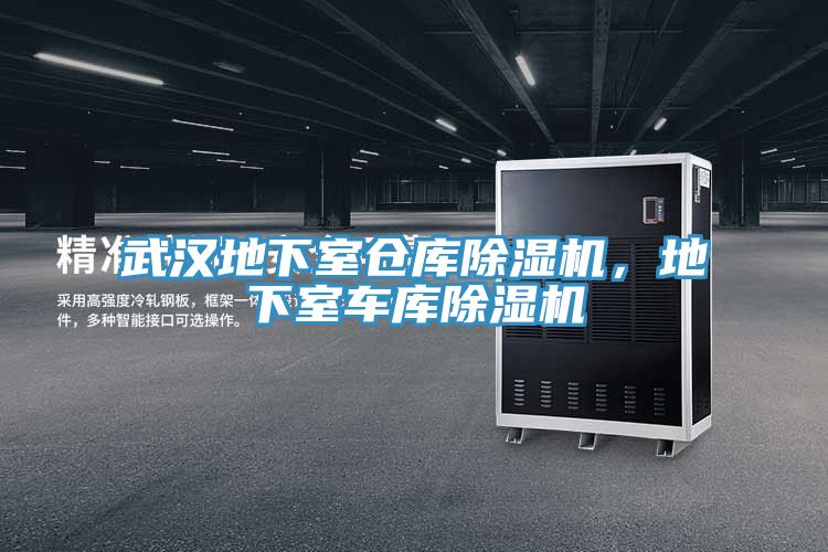 武漢地下室倉(cāng)庫除濕機(jī)，地下室車庫除濕機(jī)