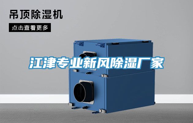 江津?qū)I(yè)新風(fēng)除濕廠家