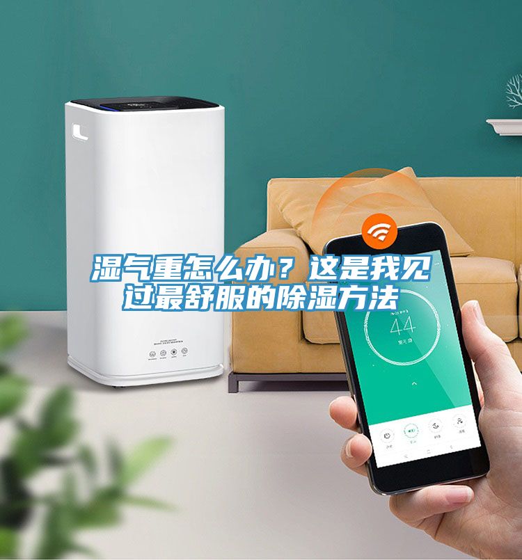 濕氣重怎么辦？這是我見(jiàn)過(guò)最舒服的除濕方法