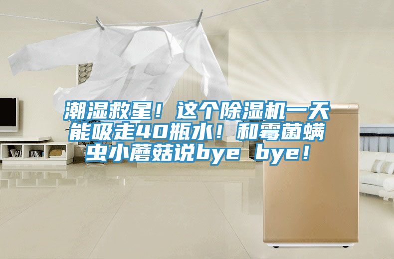 潮濕救星！這個(gè)除濕機(jī)一天能吸走40瓶水！和霉菌螨蟲(chóng)小蘑菇說(shuō)bye bye！