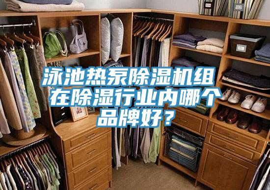泳池熱泵除濕機組 在除濕行業(yè)內(nèi)哪個品牌好？