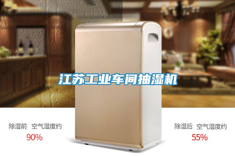 江蘇工業(yè)車(chē)間抽濕機(jī)