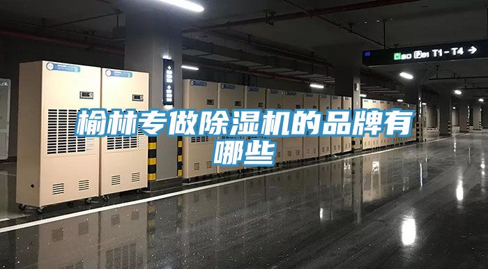 榆林專(zhuān)做除濕機(jī)的品牌有哪些