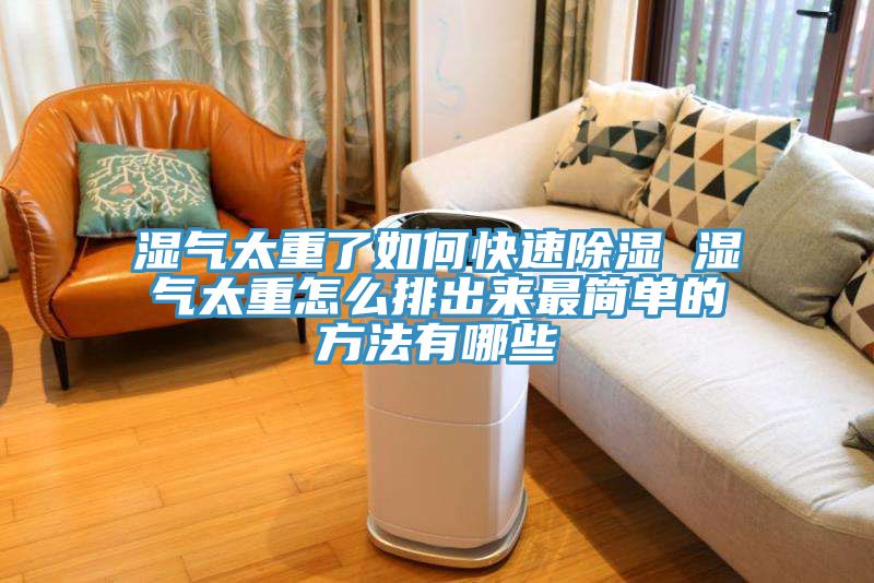 濕氣太重了如何快速除濕 濕氣太重怎么排出來(lái)最簡(jiǎn)單的方法有哪些