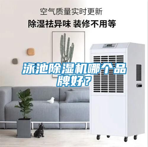 泳池除濕機哪個品牌好？