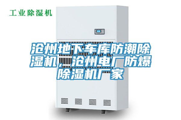 滄州地下車(chē)庫(kù)防潮除濕機(jī)，滄州電廠防爆除濕機(jī)廠家
