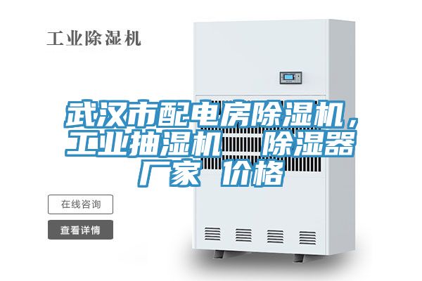 武漢市配電房除濕機(jī)，工業(yè)抽濕機(jī)  除濕器廠家 價(jià)格
