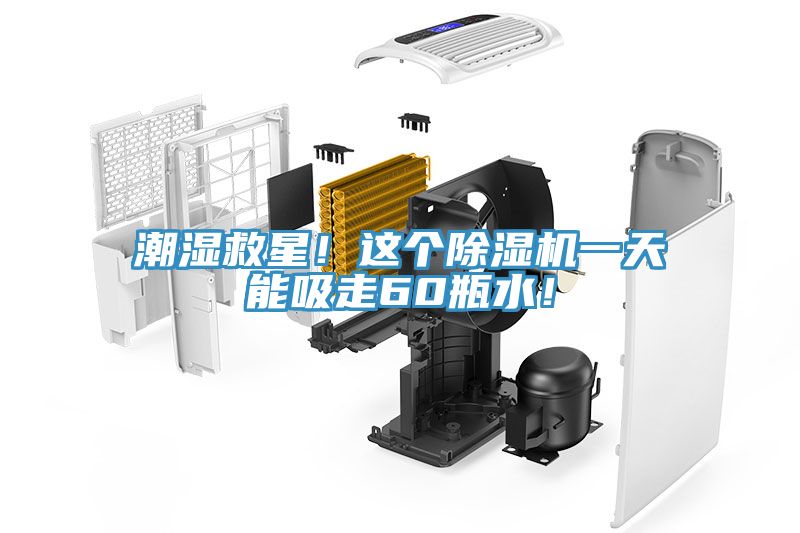 潮濕救星！這個(gè)除濕機(jī)一天能吸走60瓶水！