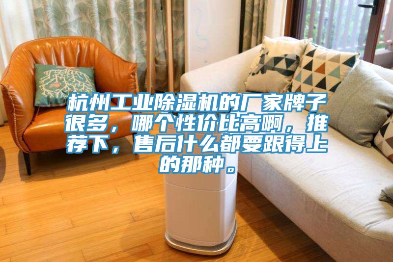 杭州工業(yè)除濕機(jī)的廠家牌子很多，哪個(gè)性?xún)r(jià)比高啊，推薦下，售后什么都要跟得上的那種。