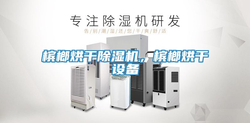 檳榔烘干除濕機(jī)，檳榔烘干設(shè)備