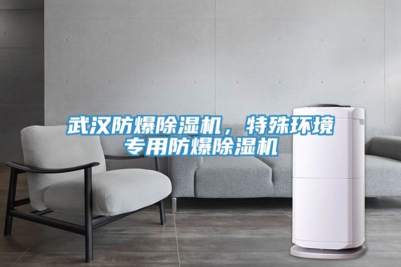 武漢防爆除濕機(jī)，特殊環(huán)境專用防爆除濕機(jī)