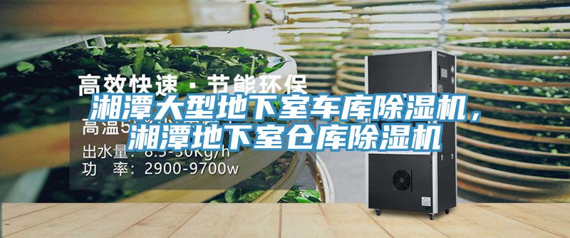 湘潭大型地下室車庫除濕機(jī)，湘潭地下室倉庫除濕機(jī)