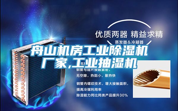 舟山機房工業(yè)除濕機廠家,工業(yè)抽濕機