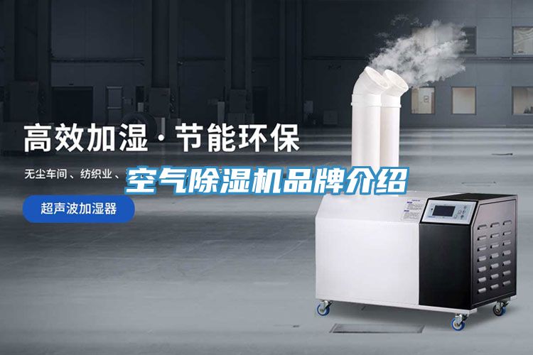 空氣除濕機品牌介紹
